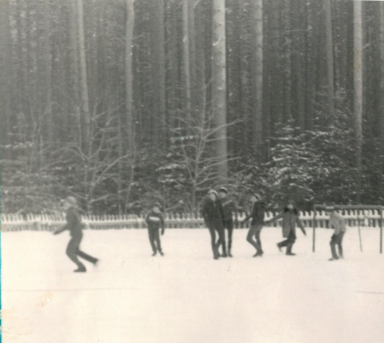 Школа 1980 отзывы